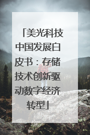 美光科技中国发展白皮书：存储技术创新驱动数字经济转型